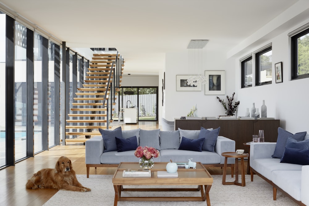 Healthier home guide
